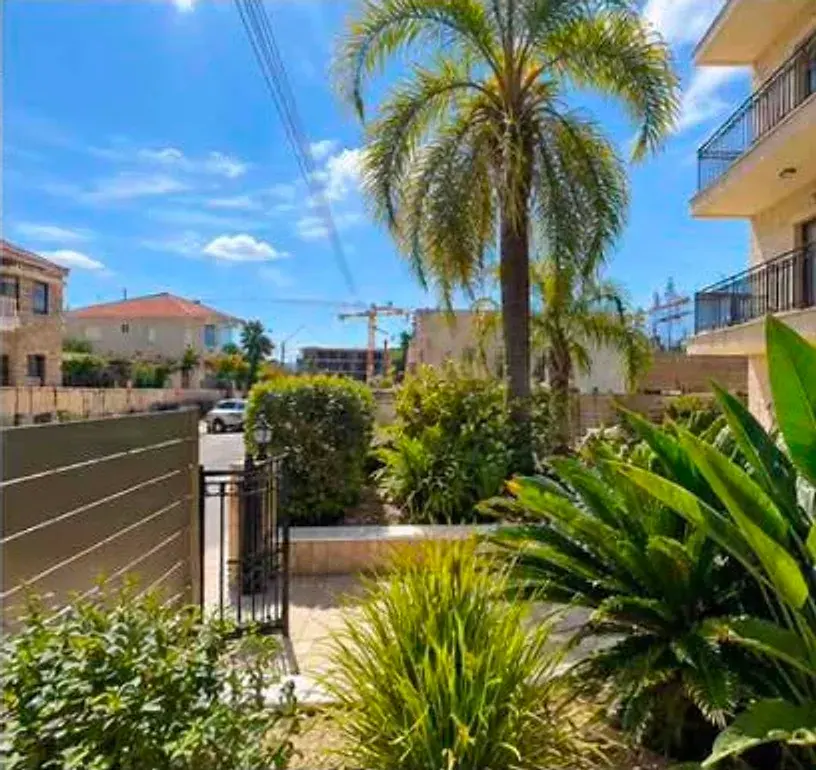 Palm tree and cycads in a Limassol front garden after pruning