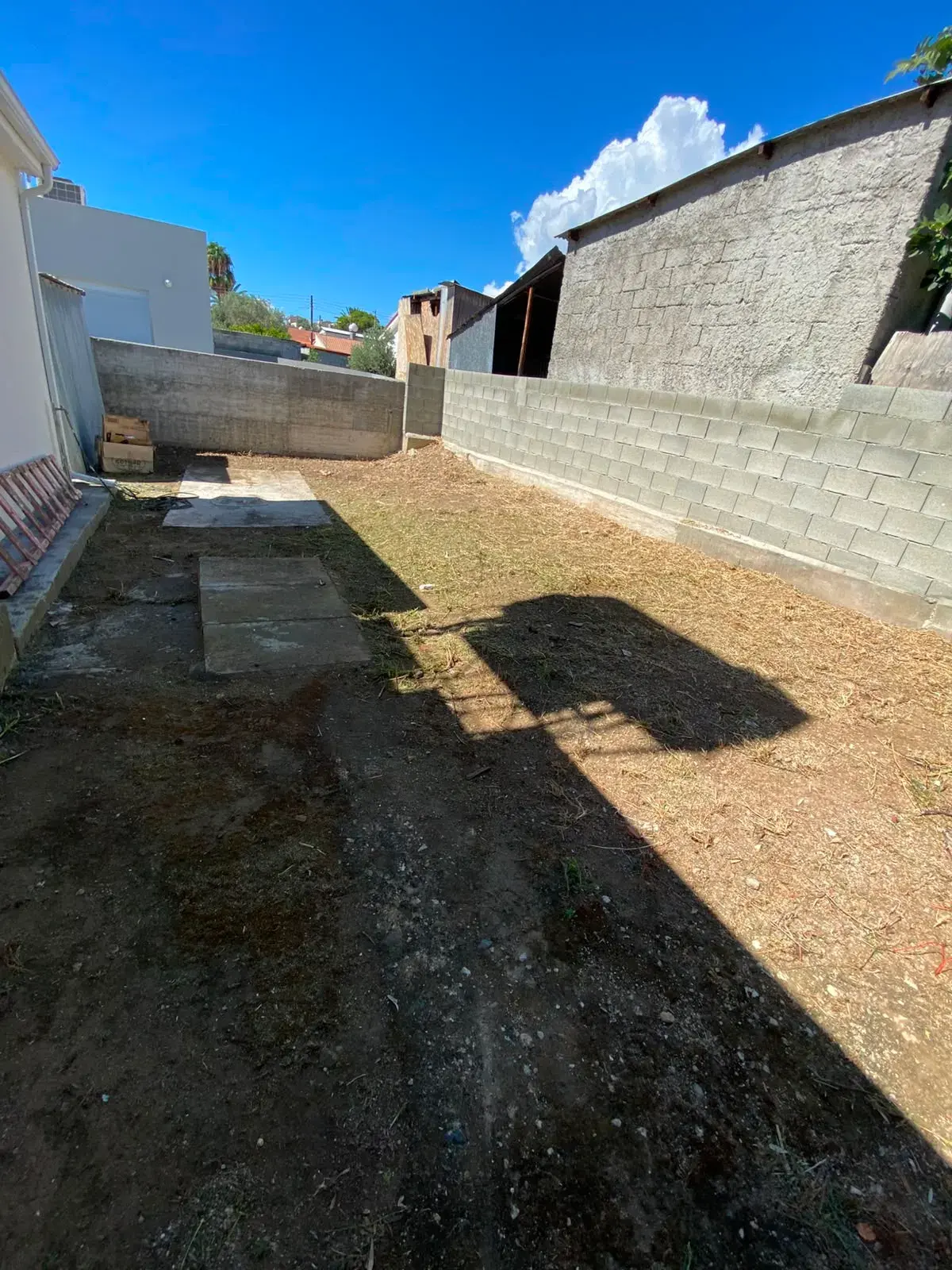 Overgrown side yard, After